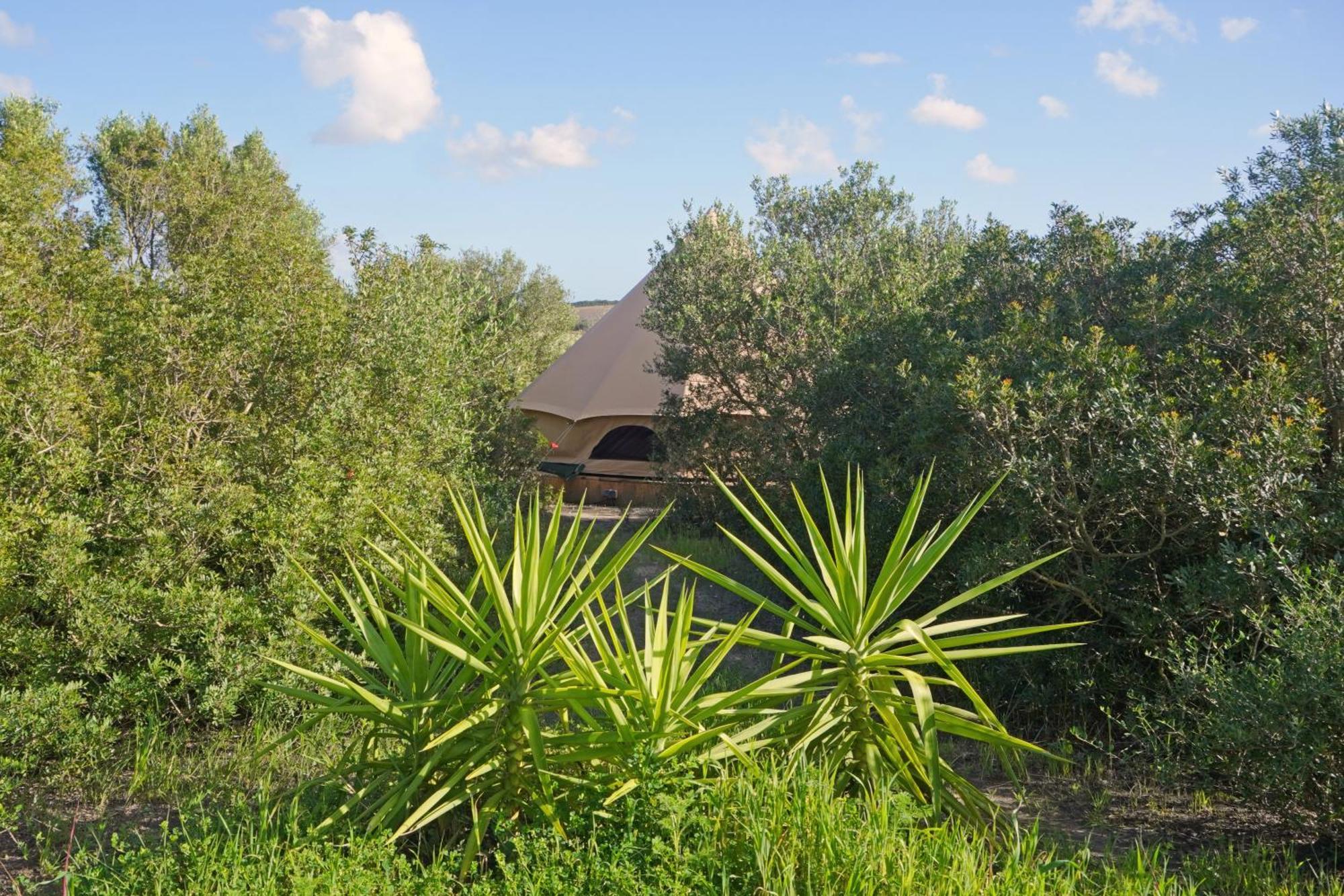 Hotel Tranquilo Glamping à Hozanejos Extérieur photo