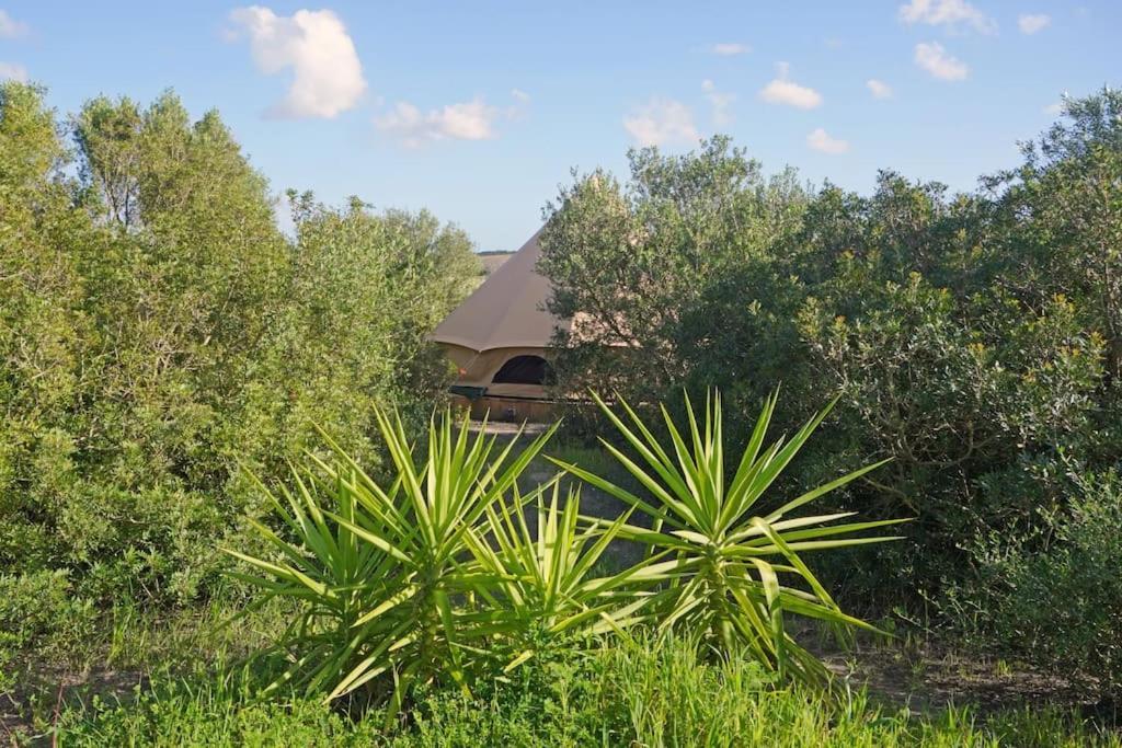 Hotel Tranquilo Glamping à Hozanejos Extérieur photo